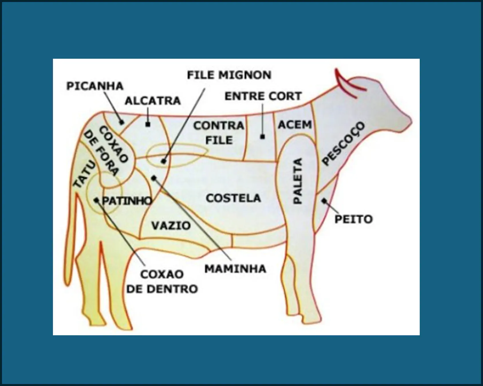 Nome dos Cortes de Carne do Brasil em 7 idiomas